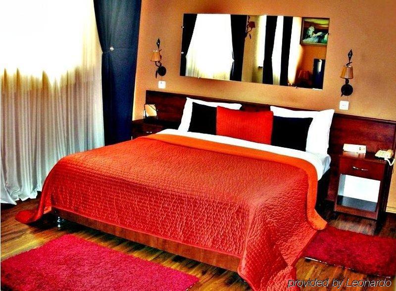 Art-Rustic Boutique Hotel Chişinău Værelse billede